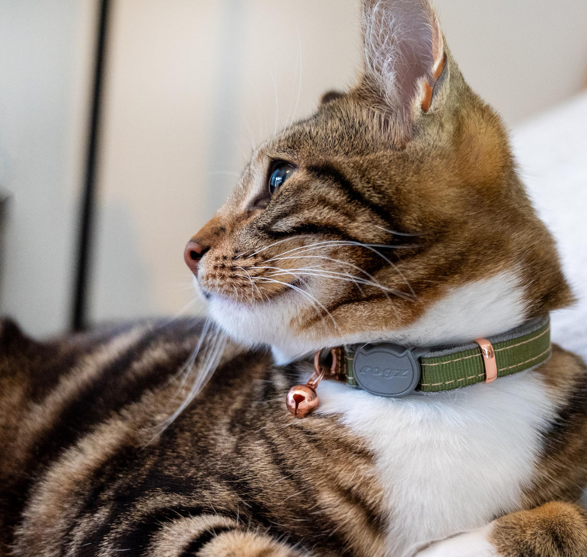 Rogz Urban Cat Safety Collar Small/Medium - Pink Blush