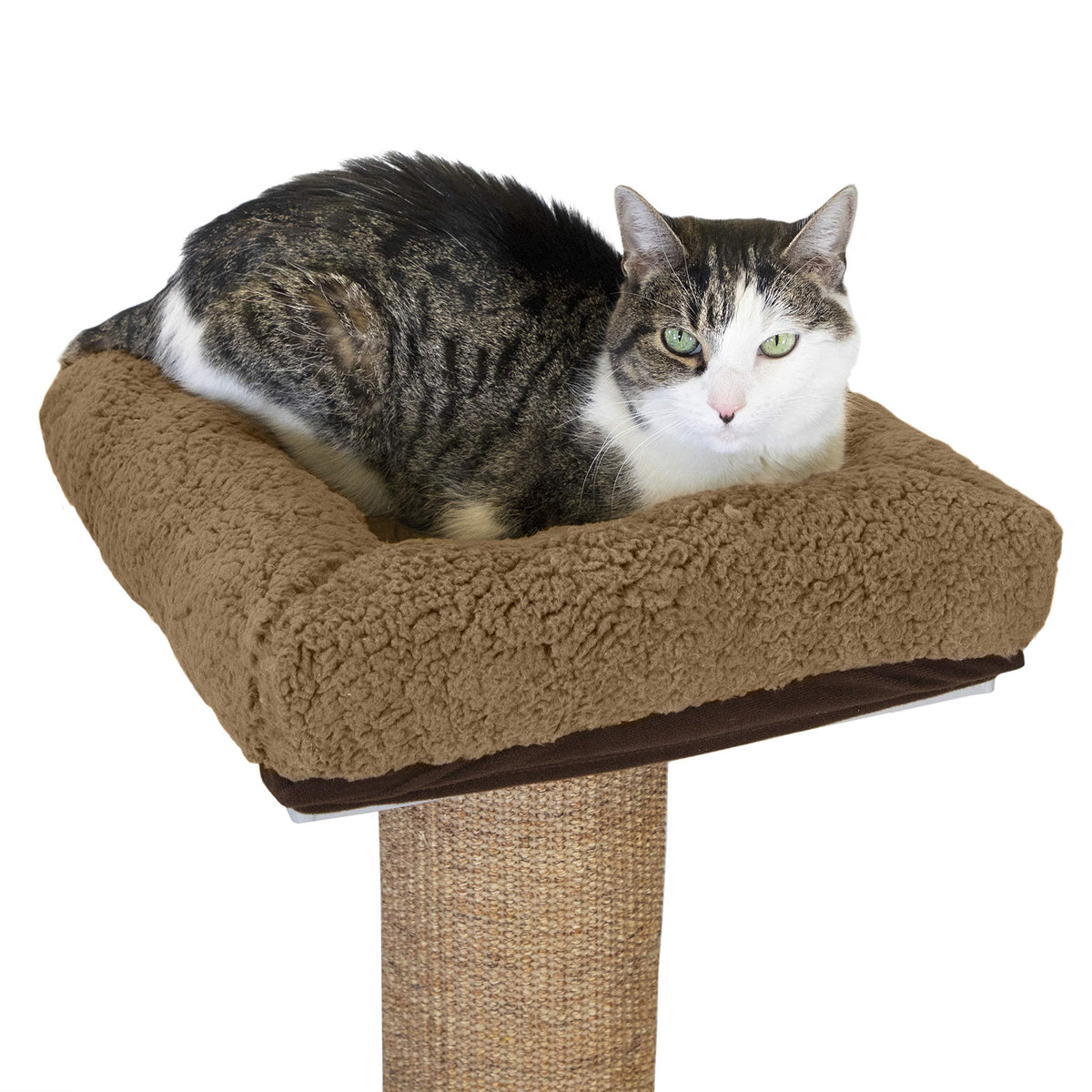 Kitty City Tall Sisal Cat Scratching Post, 32” Durable Scratcher with Sturdy Base & Hanging Jingle Toy, Easy Assembly, Furniture Protection for Indoor Cats - Gray